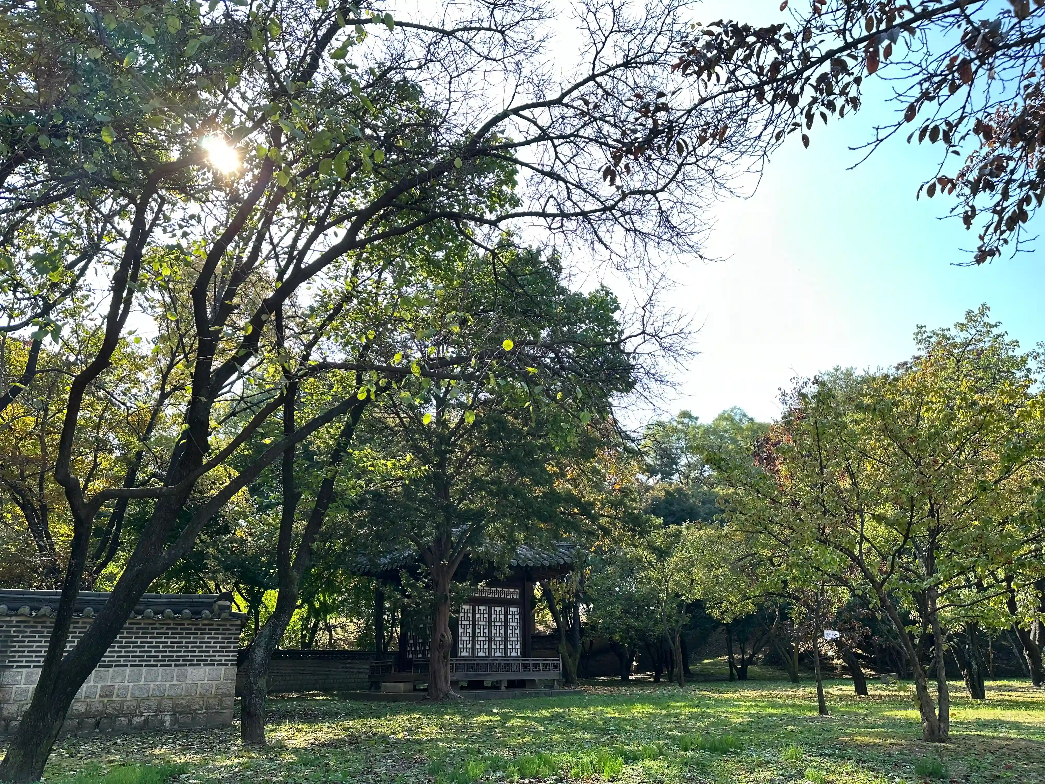 Changdeokgung background