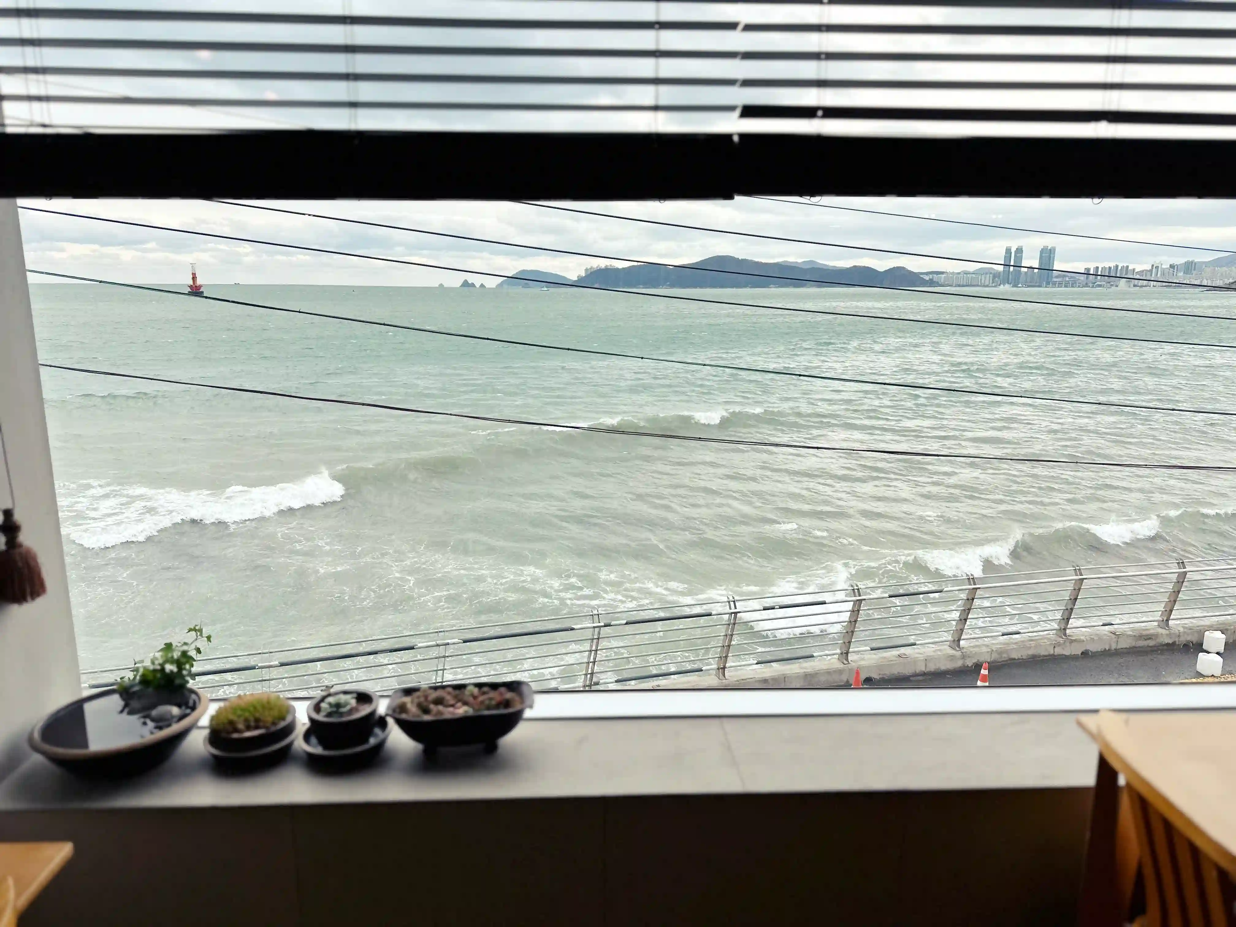 photoed by 선창, can see sea while eating
